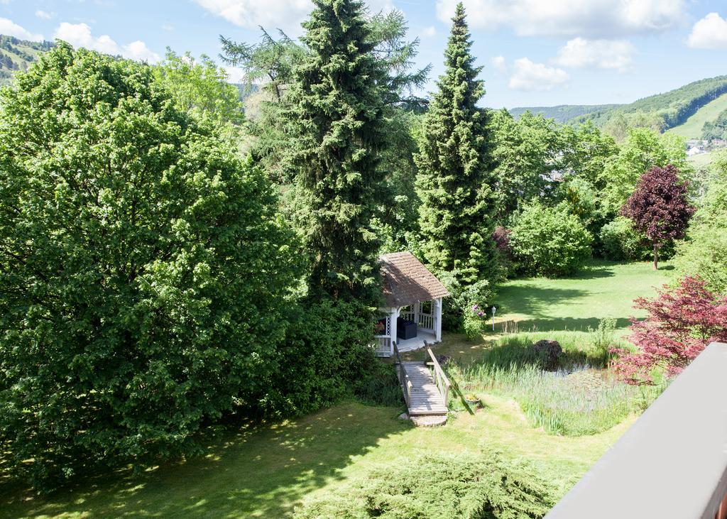 Landhaus Wiesemann Parkappartements & Dependance - Naehe Ettelsberg-Talstation Willingen  Esterno foto